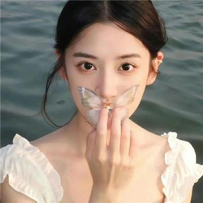 月季花开